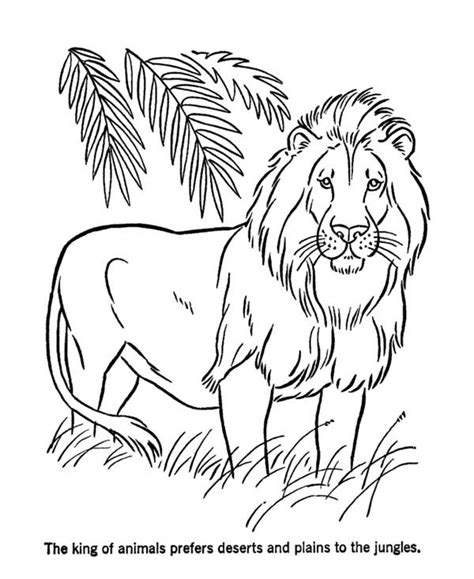 From lion cubs, to lions with great manes, to pictures of lions with other african animals, these lion coloring pages for kids have the big cat covered! Lion The King Of Animals Coloring Page : Color Luna