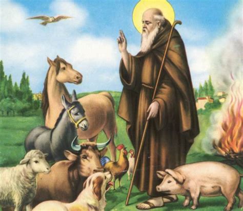 Numero abitanti, notizie sulla città, alberghi, elenco telefonico, codice postale, lista banche, santo patrono. Bendición de los animales: Sant'Antonio Abate el protector ...