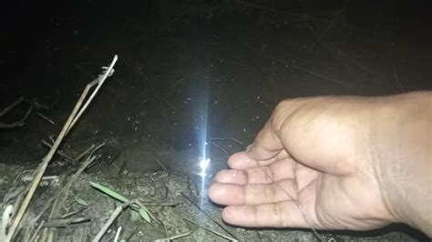 Puisi malam bisa membahas berbagai tema yang bisa kita angkat. Sambaran ganas belut besar saat malam hari, mancing belut ...