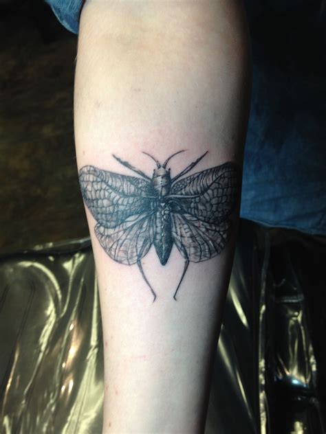 Maybe you would like to learn more about one of these? Katydid by Jimmy Butcher at The Butcher Tattoo, Savannah ...