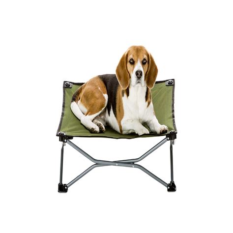 They helped america get through the pandemic. Carlson Pet Products Green Portable Pup Pet Bed, 26" L X 26" W X 9" H | Petco