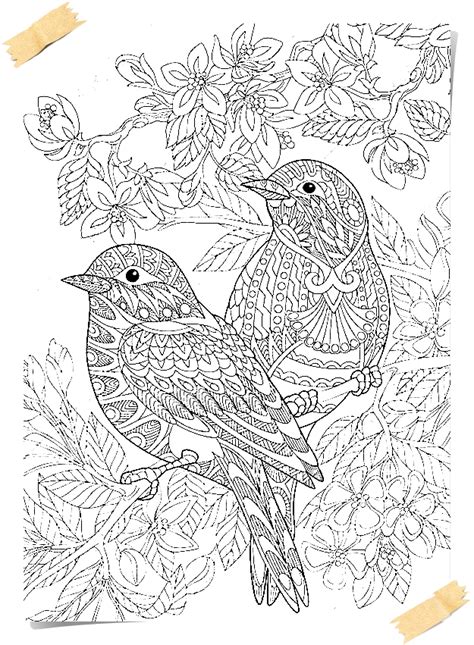 Ausmalbilder für erwachsene zum ausdrucken 30 schöne malvorlagen. Vogel-Mandala - Free Mandala