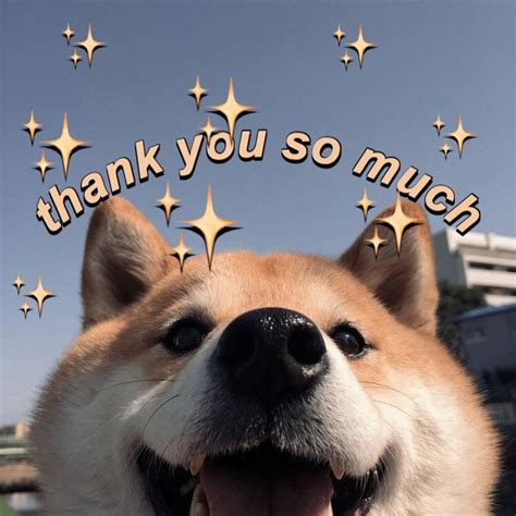For that reason, i hope you enjoy these 101 funny 'thank you' memes and decide to share some with people who have made a difference in your life. thank you so much uwu | Cute love memes, Cute memes, Funny ...