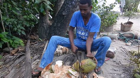 It can be a bit cumbersome at first, but you will soon get it. how to husk a coconut with a machete - YouTube