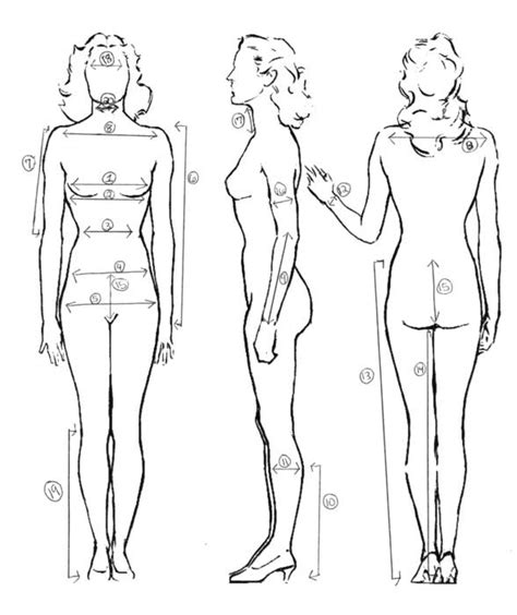 See more ideas about body, body parts, body systems. Costume Sizing Chart