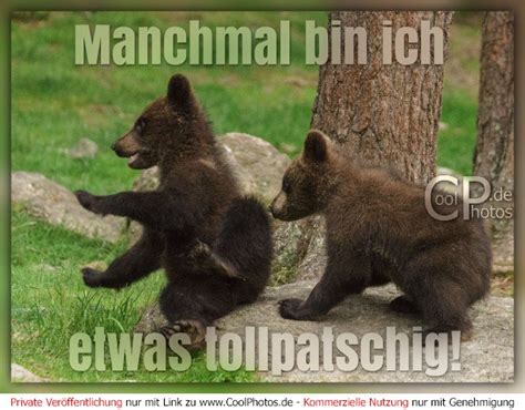 English german online dictionary tureng, translate words and terms with different pronunciation options. CoolPhotos.de - Manchmal bin ich etwas tollpatschig!