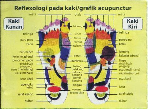 Reflexology / urut tapak kaki. Ragam Gambar Titik Syaraf Rekleksi Kaki Dan Tangan