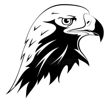 Download 19 amerikaanse zeearend free vectors. vogelkop tekenen zeearend - Google zoeken | Adelaar, Roofdier, Muur tekening