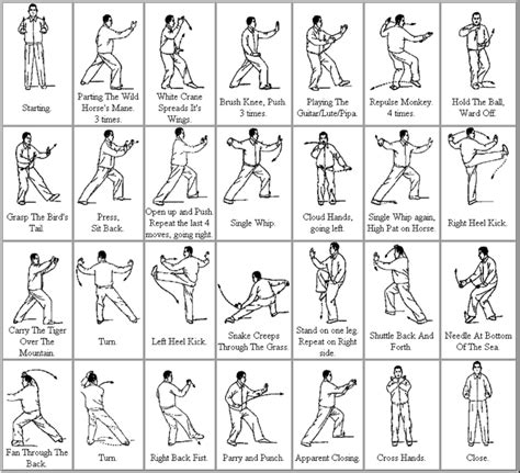 I teach my students to increase their awareness of how the energy body and physical body interact by integrating the slow, simple classic. tai chi - 24 form | Tai chi chuan, Tai chi moves, Tai chi movements