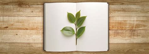 La raccolta, la selezione, la conservazione, la riproduzione. La professione del naturopata
