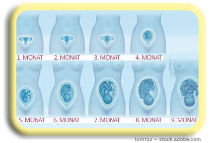 Zehn erste anzeichen für eine schwangerschaft. Erste schwangerschaftsanzeichen wann. Schwangerschaft • 16 ...