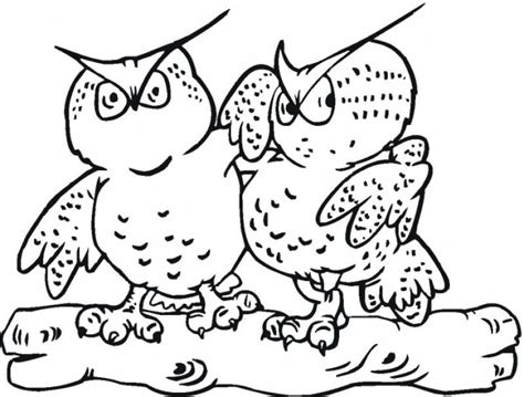 Free printable canadian provinces worksheets. Great Horned Owl Coloring Page - Coloring Home