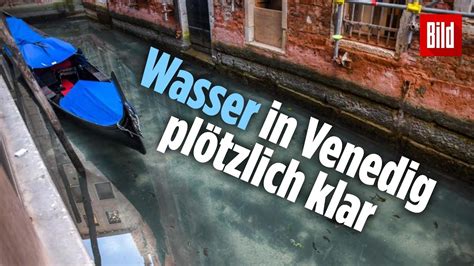 Pence helfer des positiven corona test ist an zweiter stelle in dieser woche für white house als trump versucht projekt normalität. Positiver Effekt wegen Corona: Fische kehren in die Kanäle ...