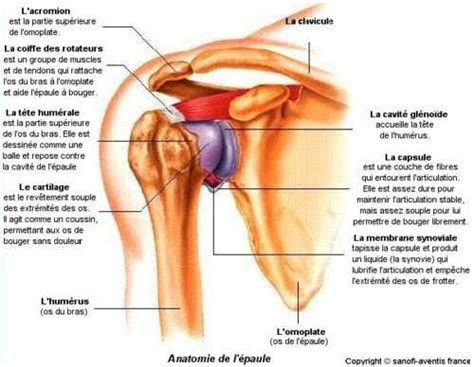 Douleur sur le dessus du pied ? Douleur épaule droite | Douleur epaule droite, Douleur ...