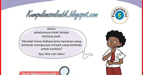 Ayo diskusi bentuklah kelompok terdiri atas empat anak. Kunci Jawaban Halaman 32, 34, 36, 37, 38, 39 Tema 3 Kelas ...