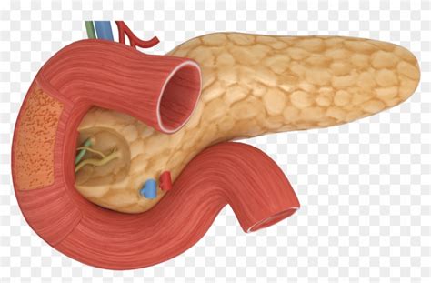 $49.99 with free shipping to u.s. Download Gambar Png Real Drum - Download Gratis