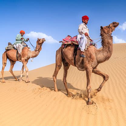 Najděte stock snímky na téma camel running upon sand dune 3d v hd a miliony dalších stock fotografií, ilustrací a vektorů bez autorských poplatků ve sbírce shutterstock. Indian Men Riding Camels On Sand Dunes Rajasthan India ...