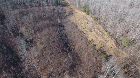 Trace state park, belden mississippi. Natchez Trace State Park - YouTube