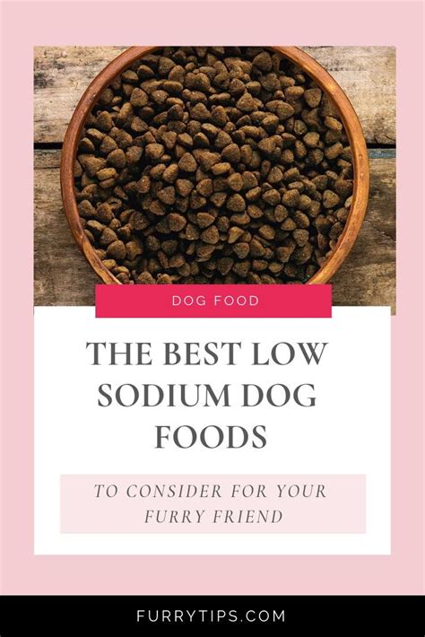 Find out what type of food will match your dog's this honest kitchen formula is one of the low sodium dog foods that provide a healthy balance of wet and dry food. The Best Low Sodium Dog Food To Buy In December 2019 | Dog ...