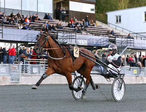 Även om solvallas läktare kommer vara tomma kan du följa högklassigt trav i tre dagar både på tv och här på atg.se. ELITLOPPET | My Guide Stockholm