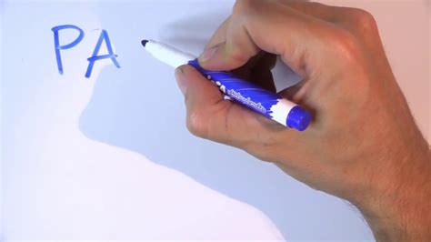 Maybe you would like to learn more about one of these? Cómo se escribe LORO en inglés - YouTube