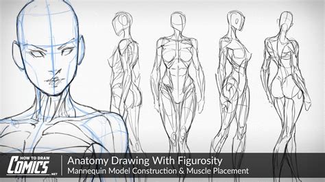 The early stages of a figure drawing usually involve careful measuring and identifying the gesture. Anatomy Drawing With Figurosity | Mannequin Model ...