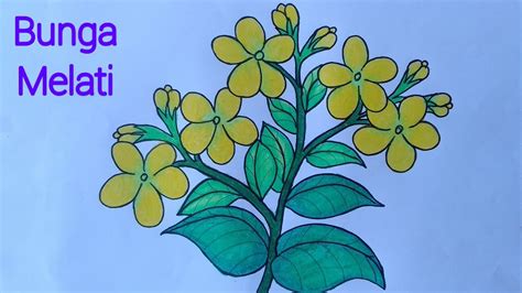 Karena jika bicara tentang gambar mewarnai bunga matahari,mawar,tulip,melati bisa kok dilakukan dengan kebiasan. Gambar Lukisan Bunga Melati - serat
