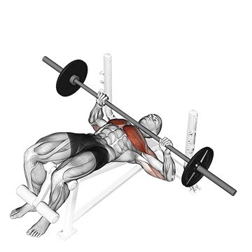 Heiß verkaufte fitness geräte tm42 bright way stärke bodybuilding bankdrücken bank maschine. ᐅ Bankdrücken negativ, positiv oder neutral? (Bilder + Videos)