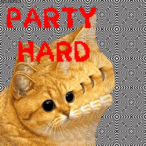 Starting life as an entry into the pewdiepie game jam, party hard released later to become one of pinokl's most popular games. Cat GIF - Find & Share on GIPHY