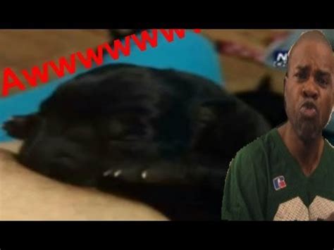 By leslie goldman for thebump.com. Woman Breastfeeds Newborn Puppy To Save His Life After The Mother Dies - YouTube