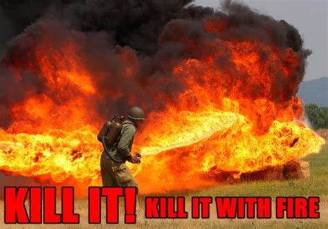 Browse millions of popular free fire wallpapers and ringtones on zedge and personalize your phone to suit you. Image - 128622 | Kill It With Fire | Know Your Meme