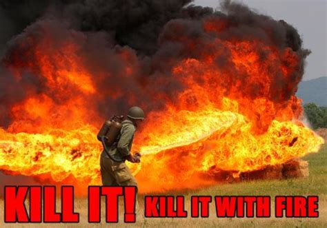 Share the best gifs now >>>. Image - 128622 | Kill It With Fire | Know Your Meme