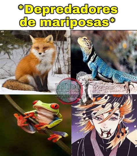 Easily add text to images or memes. Pin de Bora em memes de KNY em 2020 | Memes de anime ...