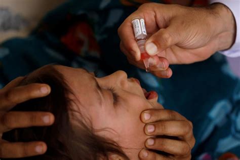 With tenor, maker of gif keyboard, add popular vaccination animated gifs to your conversations. Pak launches nationwide polio vaccination campaign, to ...