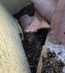 Maybe you would like to learn more about one of these? Do You Need to Replace Your Underlayment On a Tile Roof ...