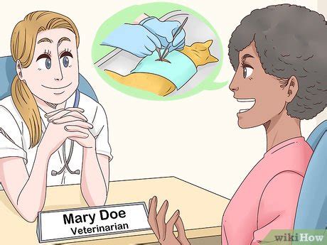 Here are a few tips on how to help your cats pass a hairball. 5 Ways to Help a Cat Cough Up a Hairball - wikiHow