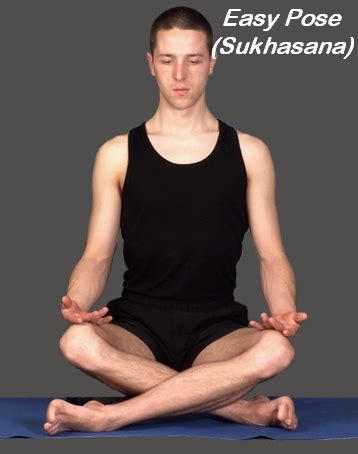 Jul 01, 2021 · actors preity zinta and neelam kothari soni also shared pictures of themselves doing a variation of the lotus pose by keeping their legs in the easy pose or sukhasana. Tudo Sobre a Ioga: Filosofia de Vida | Cultura Mix