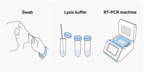 Polymerase chain reaction (pcr) tests are sent away to a lab to diagnose disease. Fixing of Standard Rate for Conducting RT-PCR for COVID-19 ...