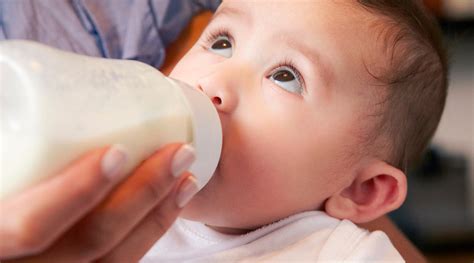 7 Healthy Meal Ideas for Pregnancy