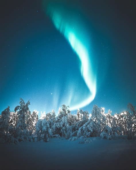 Aurora snow plowed deep in her ass. Deep in the forests of Tromsø🌌 The snow has fallen and the ...