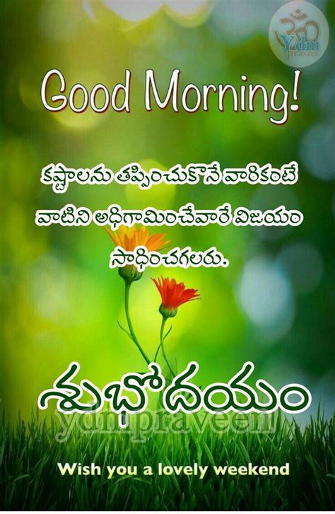 Explore our collection of motivational and famous quotes by authors you know and love. Pin by Mounimani on Telugu | Life lesson quotes, Best quotes, Lesson quotes