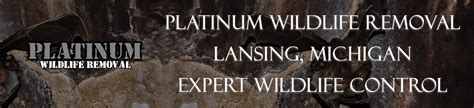Platinum pest solutions is the midwest's premier pest control provider. Lansing, MI Wildlife Removal Services - Pest Wildlife Removal