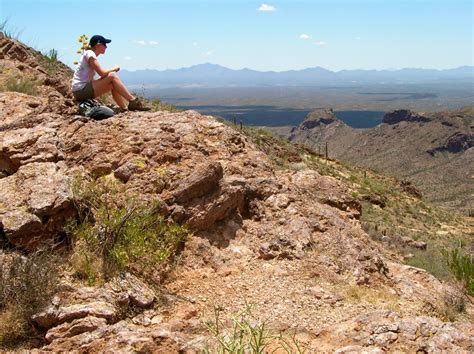 But organ pipe is more than a showcase for unusual plants. Elevation of Organ Pipe Cactus National Monument, 10 Organ ...