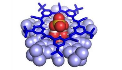 Legge di coulomb help help? Una supramolecola contro la legge di Coulomb? | Zanichelli ...