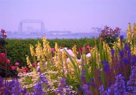 Sending flowers to duluth, mn. Flowers and Fog, Duluth MN | Pictures, Flowers, Outdoor