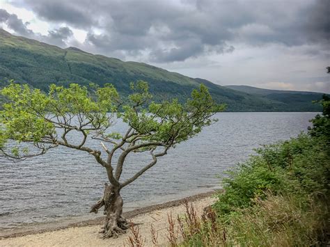 By yon bonnie banks and by yon bonnie braes / where the sun shines bright on loch lomond / where me and my true love will never meet again / on the bonnie bonnie banks. The bonnie, bonnie banks - SASS Wire Saloon - SASS Wire Forum