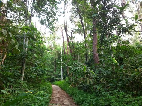 Gunung nuang is located in hulu langat district. afifplc: Gunung Nuang climb