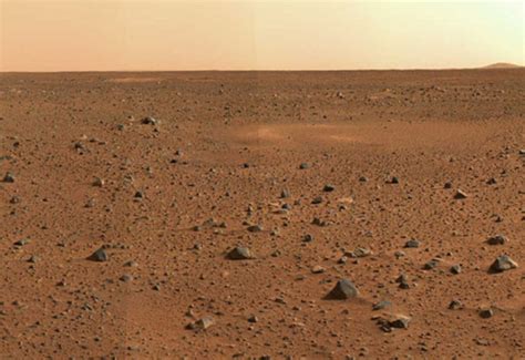 So, my question is, how long will the cactus be able to survive in the box? Scientists Say These Bacteria Could Actually Survive On Mars