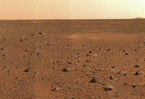 So, my question is, how long will the cactus be able to survive in the box? Scientists Say These Bacteria Could Actually Survive On Mars