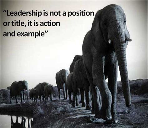 Here's a list of teamwork quotes that don't make me want to throw up a little bit in my mouth. 47 Inspirational Teamwork Quotes and Sayings with Images ...